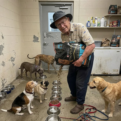 Support Our Shelter